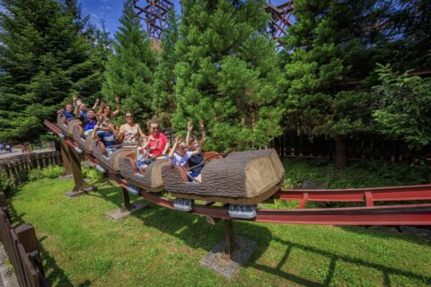 La Ronde des Rondins