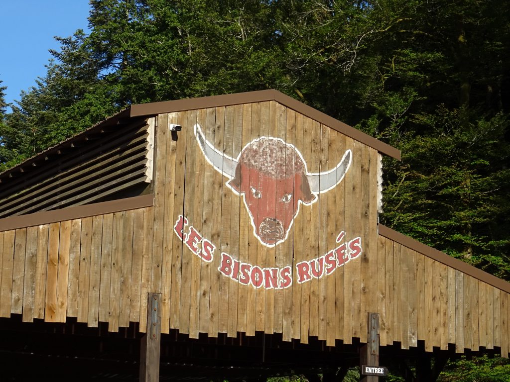 Les bisons rusés à Fraispertuis-City