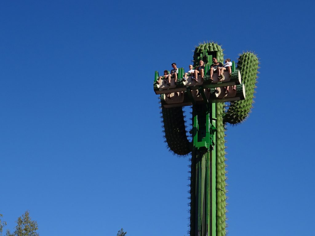 Le Cactus à Fraispertuis-City