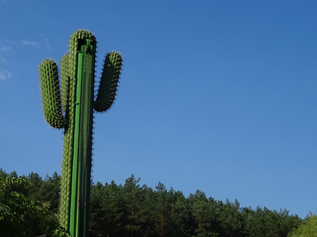 Le Cactus à Fraispertuis-City