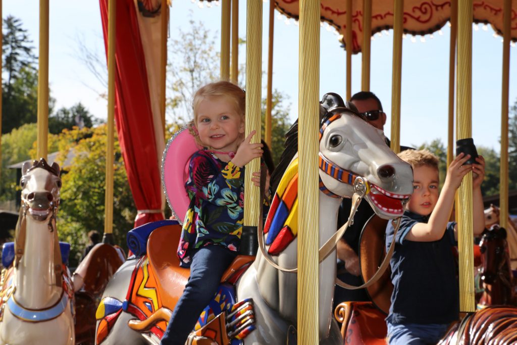 The carousel of wooden horses.