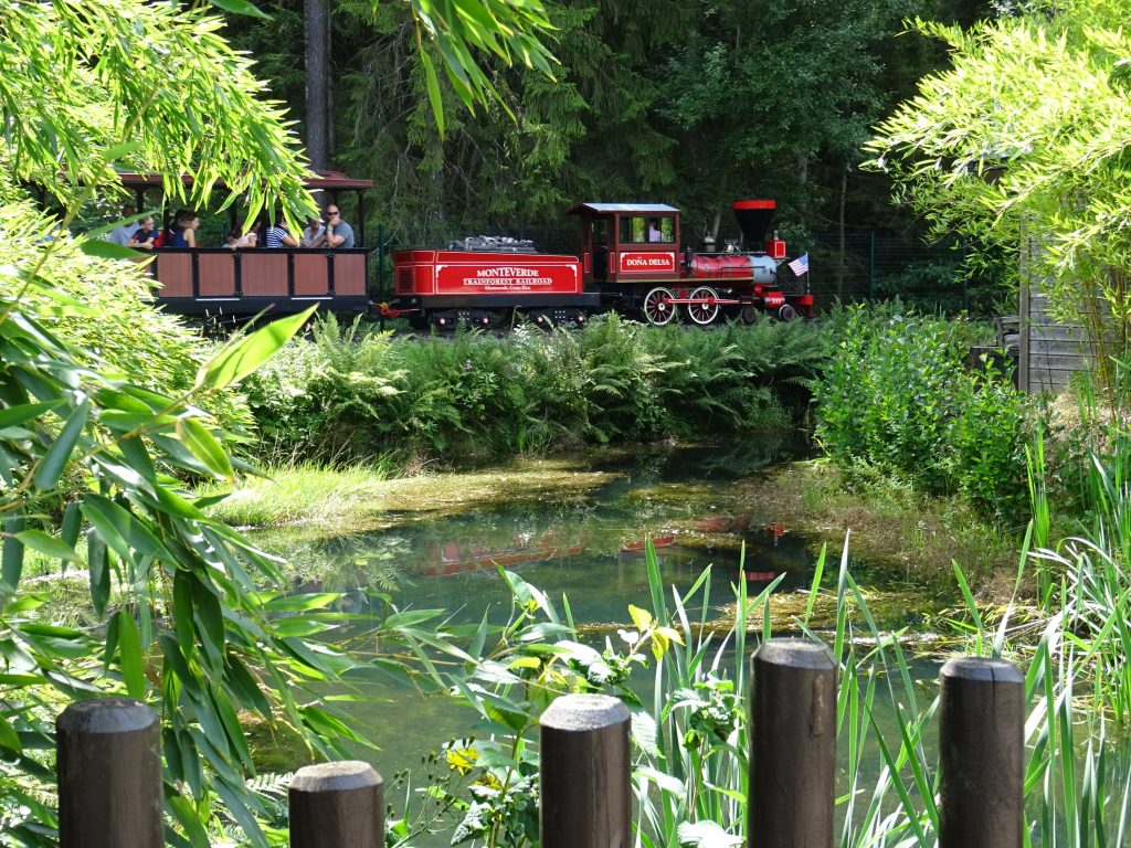 The train takes you to explore Fraispertuis City.