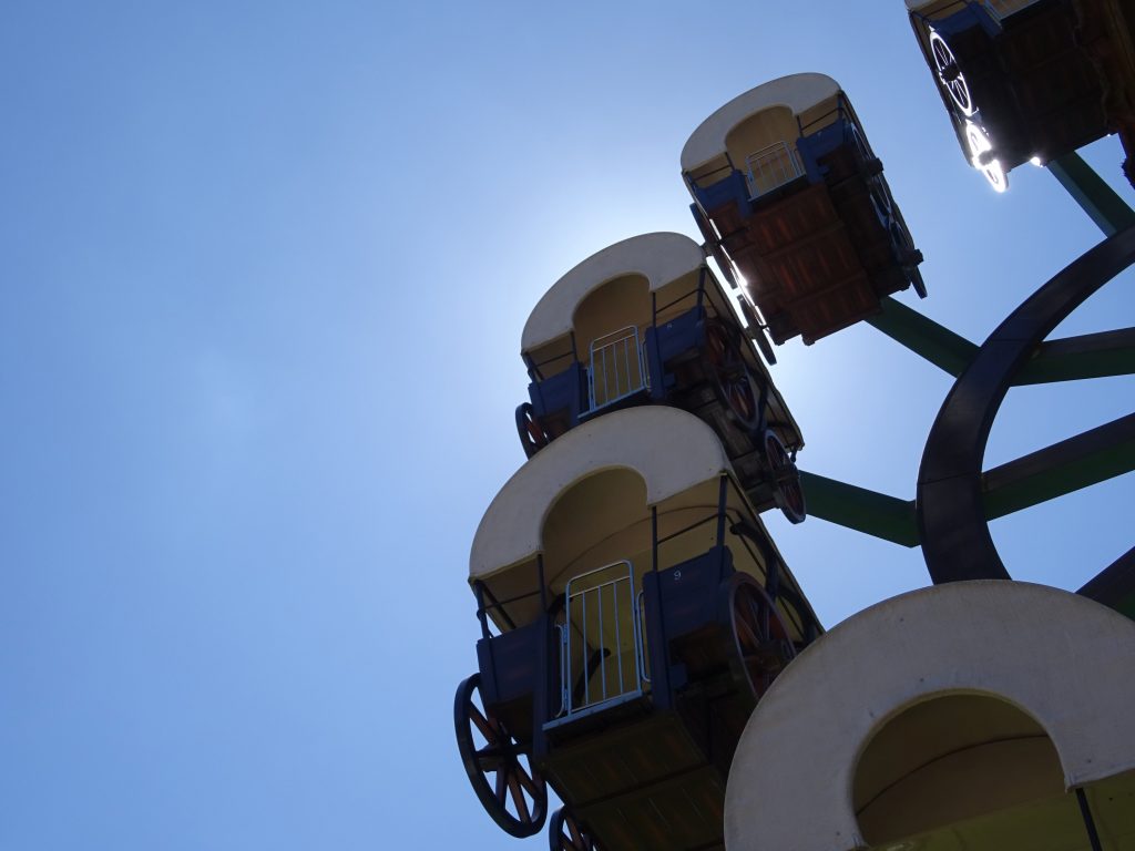 A Ferris wheel ride to see the park from above.