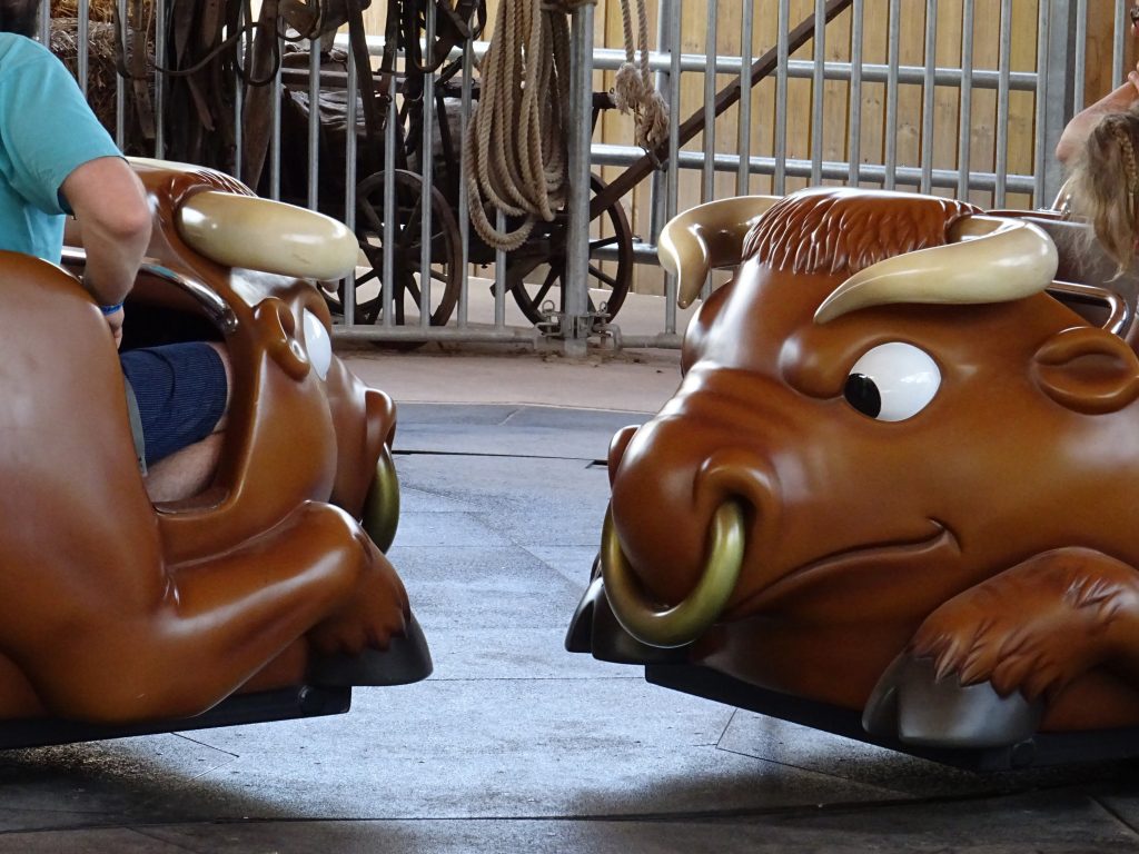 The bulls no longer stay in place in their enclosure.