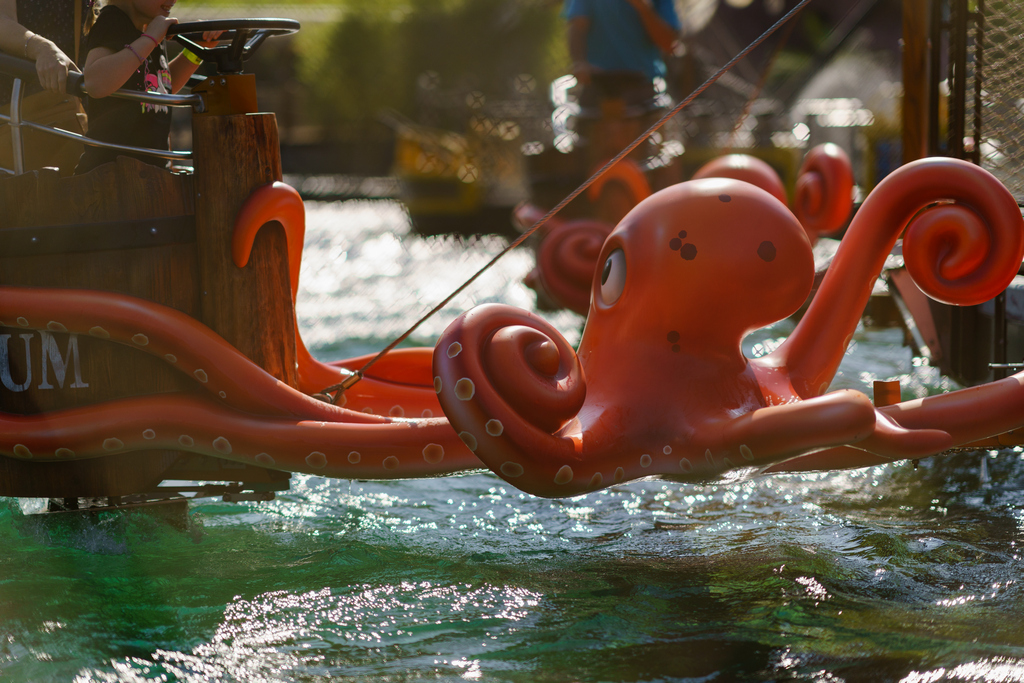 The octopuses are waiting for you to have fun.